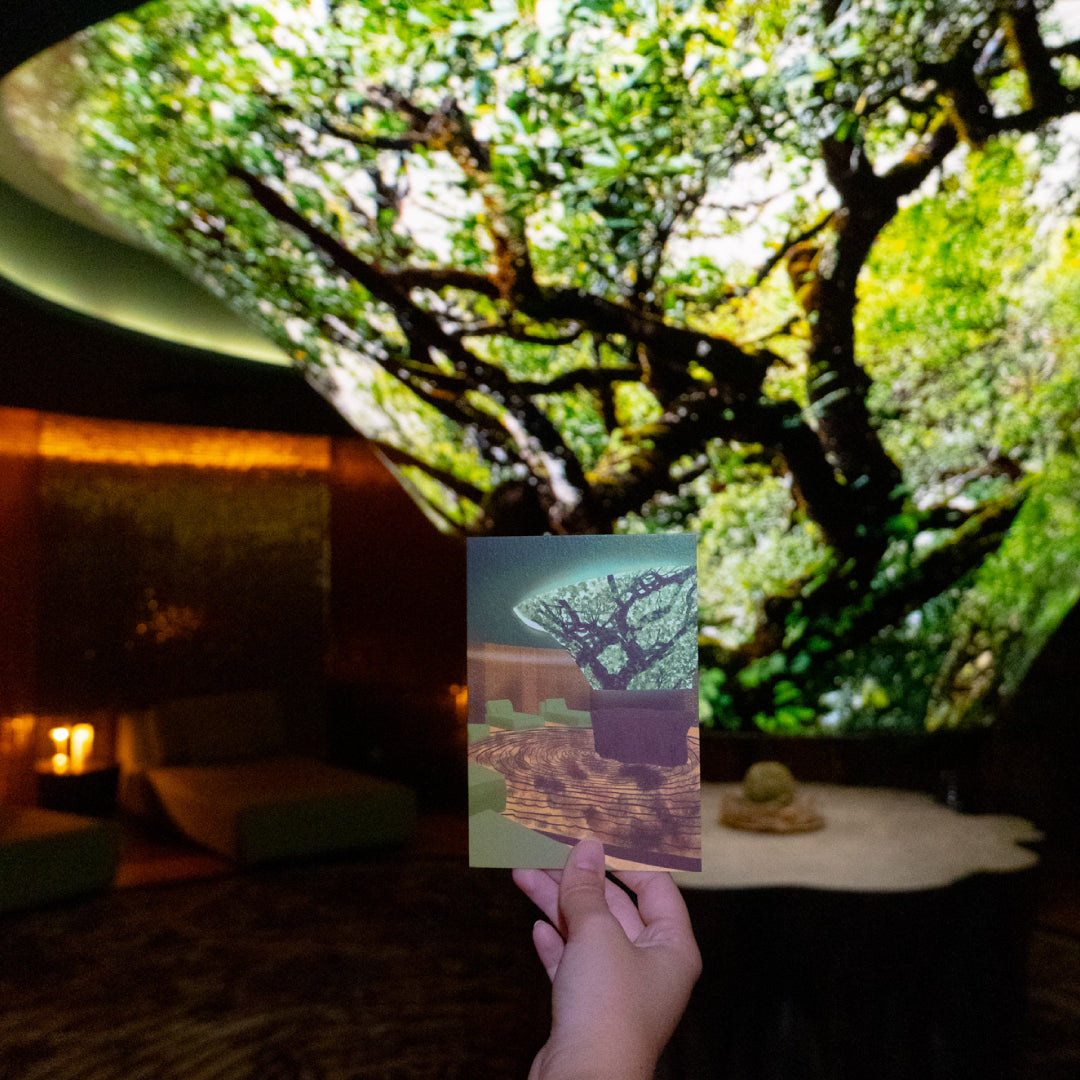 Savoy Palace Postcards Collection