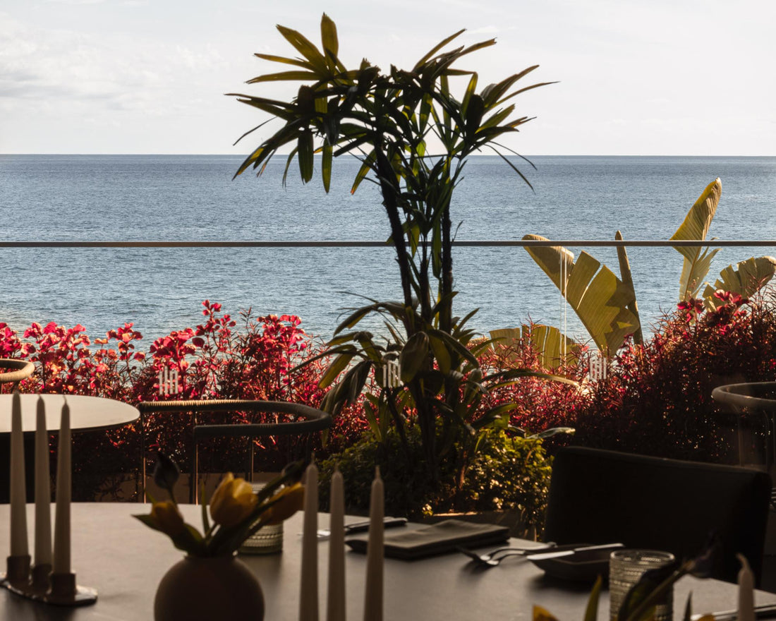 Alambique | Madeira Tasting Experience