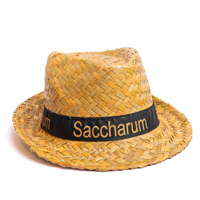 Chapéu de palha | Saccharum